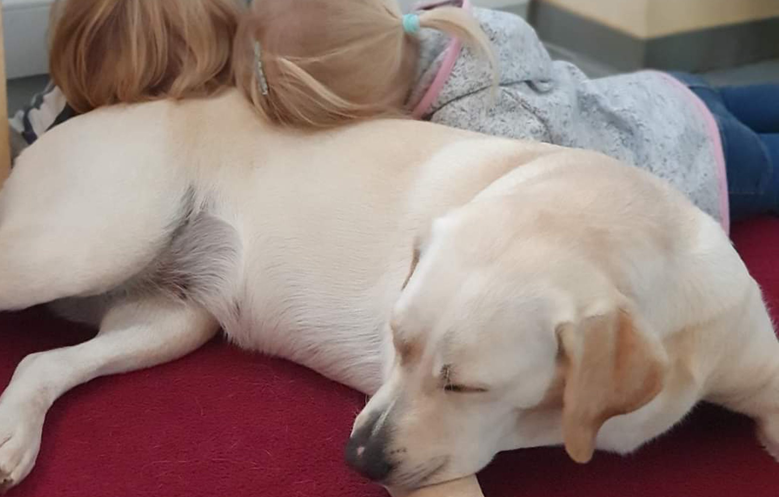 Kinder_Hund scaled