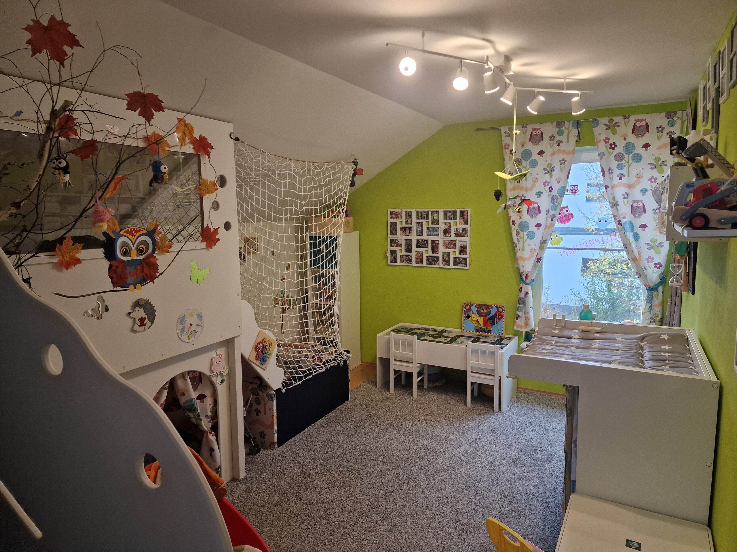 20241029_155424 scaled